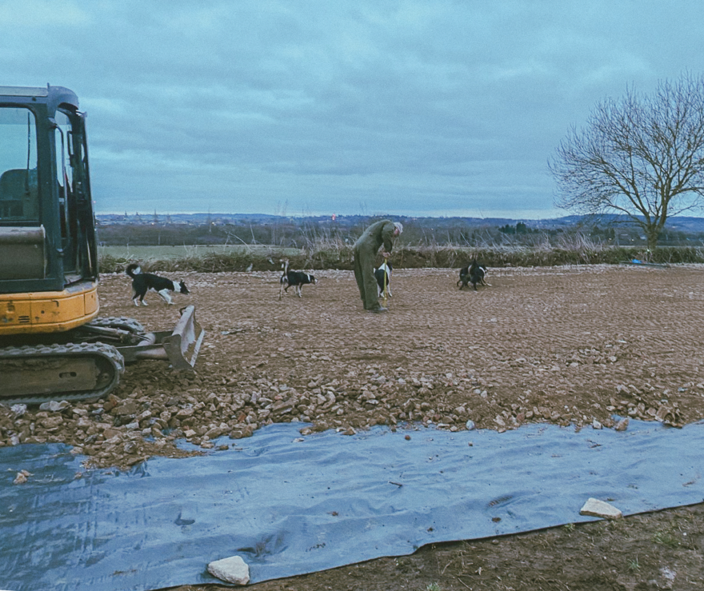 edited farm