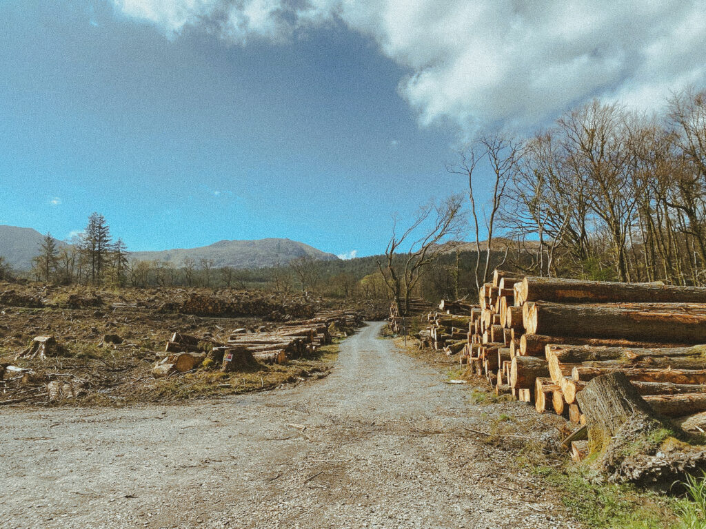 snowdon (1 of 3)