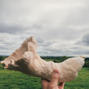 From Our Farm to a Michelin Star Restaurant